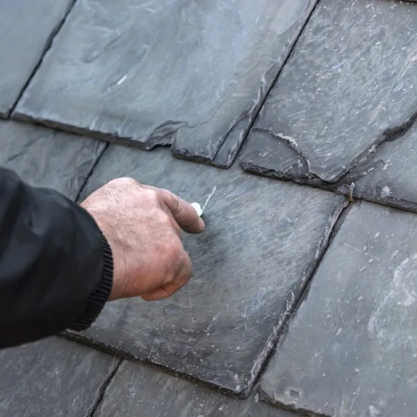Roof and structure review